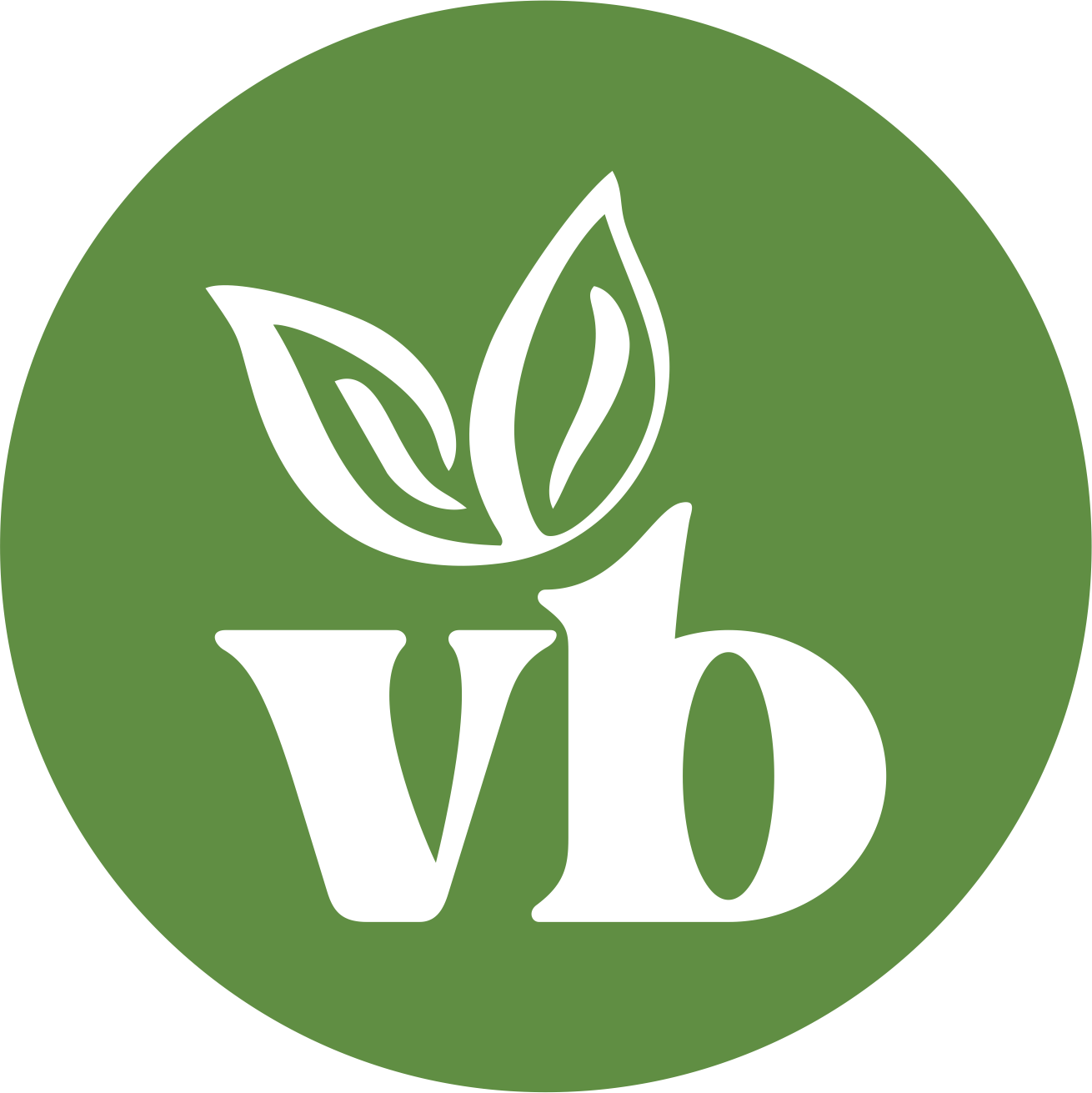 My Vegetarian Baby logo